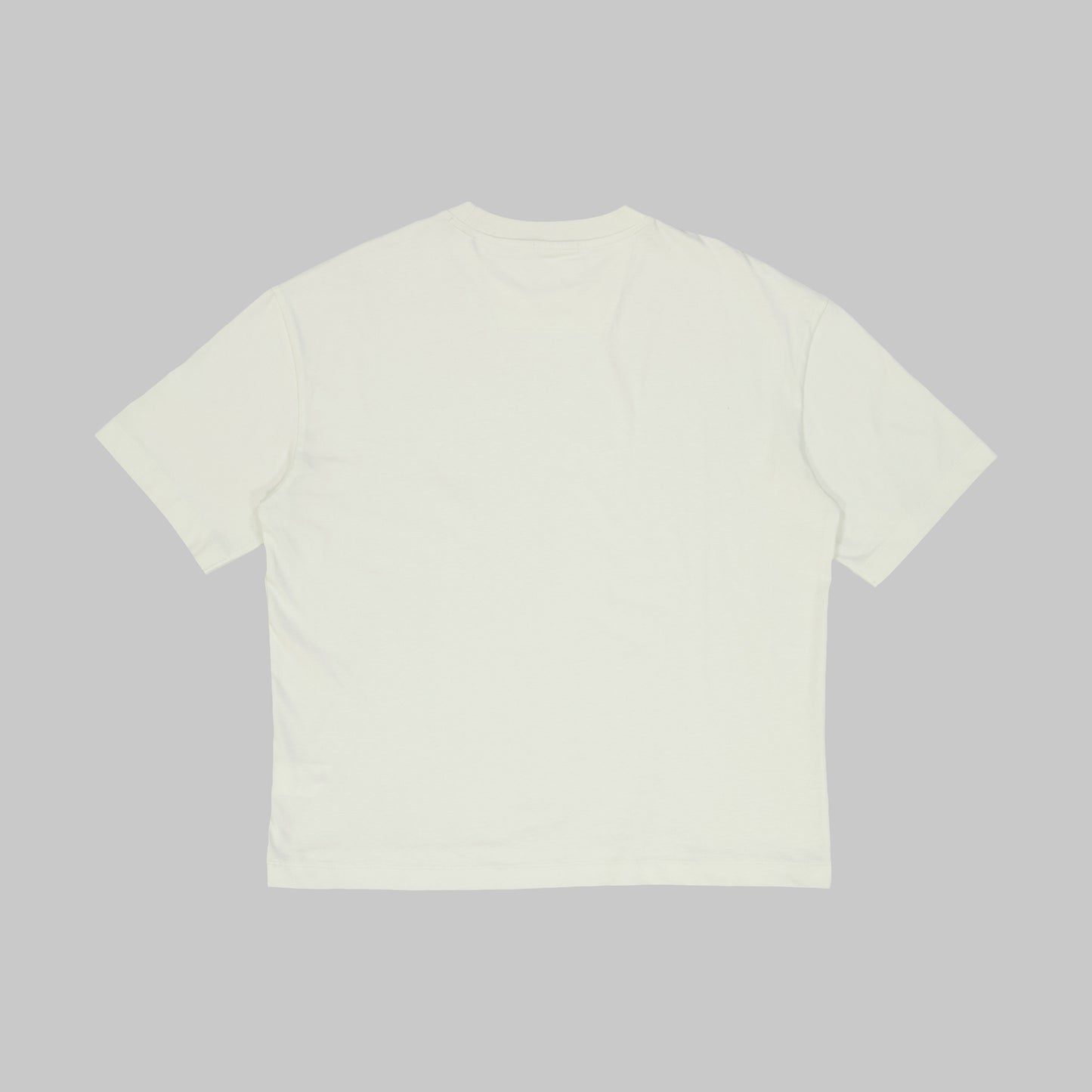 PL4Y3R Tee - Light Green