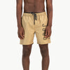 Lupien Beach Short - Brown